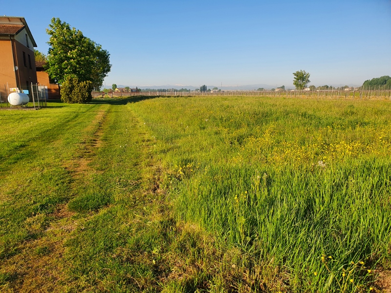 Carreggiata John Miles - Domus Saurea aprile 2021 - foto Tirelli