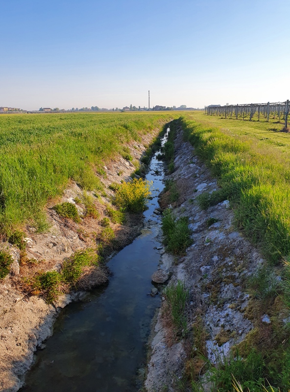 Il Torrente Bondeno, dove giocano le lepri - nei paraggi della Domus Saurea - aprile 2021 - Foto Tirelli