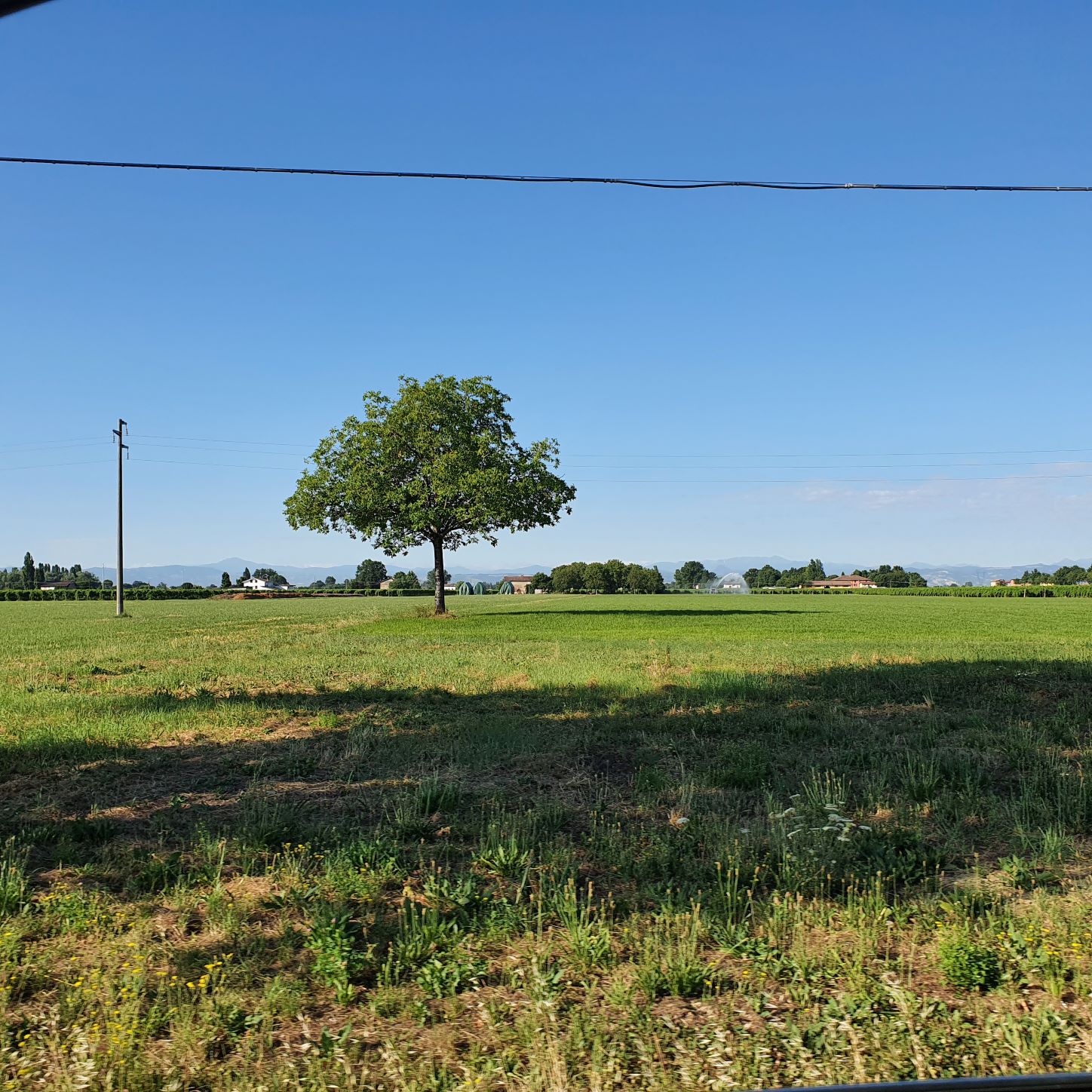Osteriola countryside b - Luglio 2021 - Foto TT