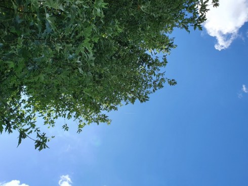 Little Houses Place - agosto 2021 - foto TT