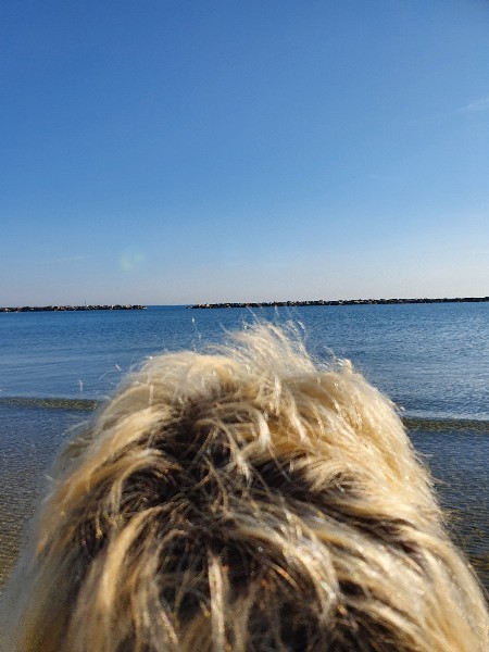 Greendale, Romagna, Settembre 2021 - foto TT