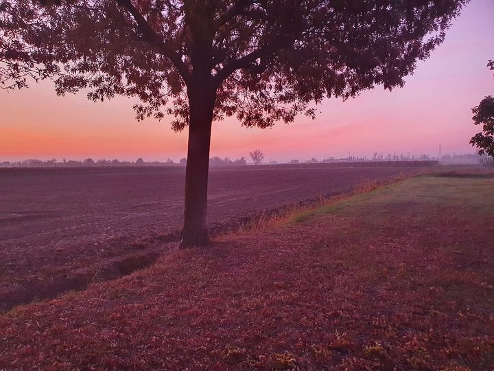 Early In The Morning at Domus Saurea - Novembre 2021 - photo TT