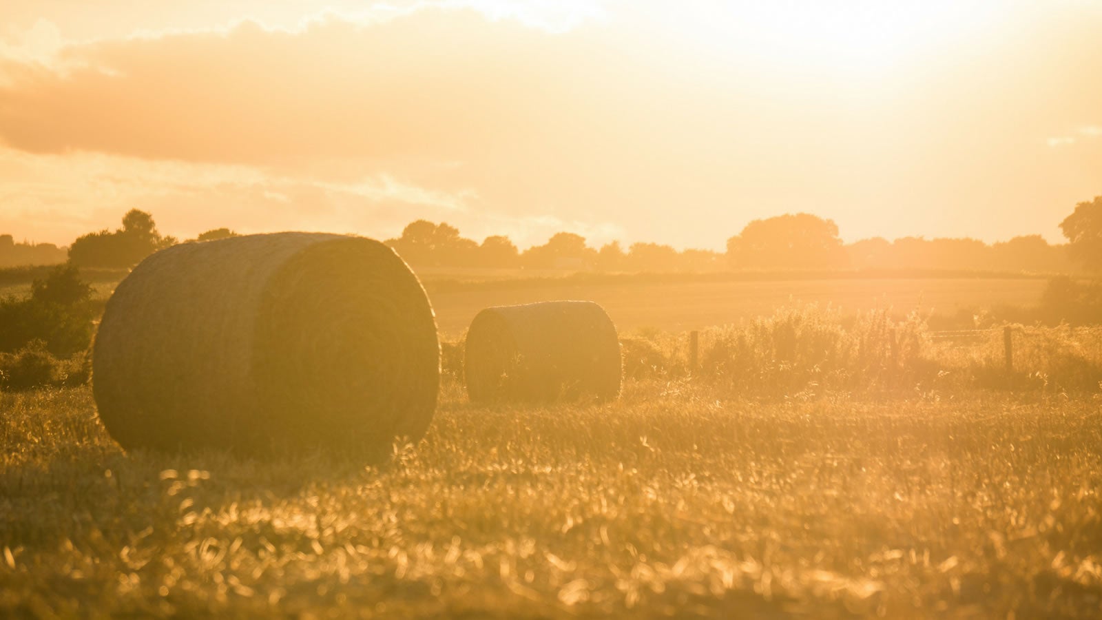haybale-summer-sun-farming-countryside-poems