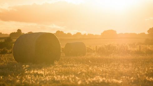 haybale-summer-sun-farming-countryside-poems