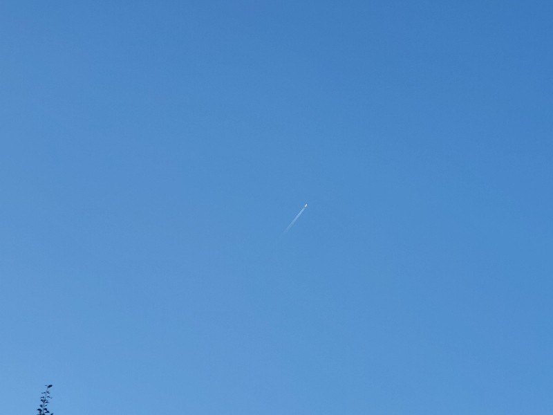 View from the pool - Domus Saurea luglio 2022 - Foto TT