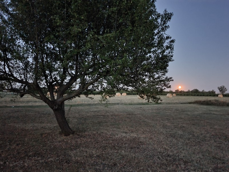 Bad moon rising - Domus Saura - Luglio 2022 - Foto TT