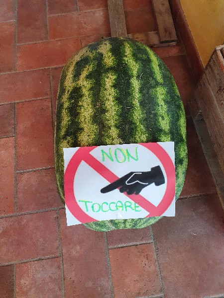 Dal Mantvanèn - Lemizzone - Luglio 2022 - Foto TT