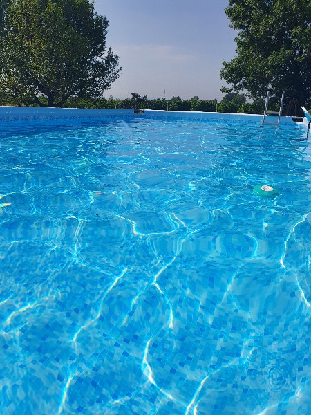 Domus Saurea luglio 2022 - Foto TT