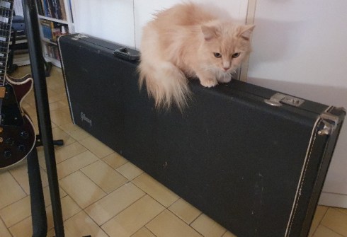 La Stricchi sulla doppiomanico - Domus Saurea sett 2022 - foto TT