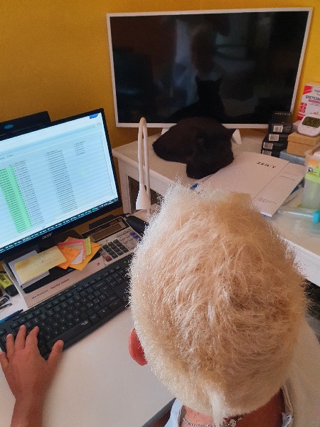 Quando la sua umana preferita fa smart working Ozzy non la abbandona un minuto - Domus Saurea settembre 2022 - foto TT