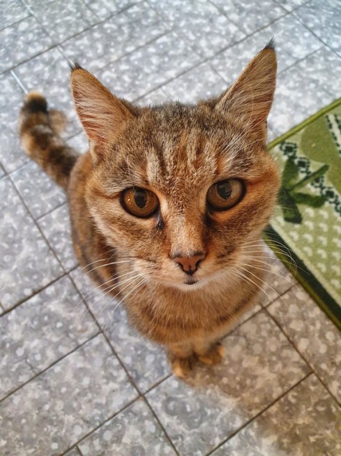 Raissa - Domus Saurea tardo ottobre 2022 - foto TT