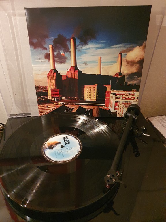 Animals PF - foto TT