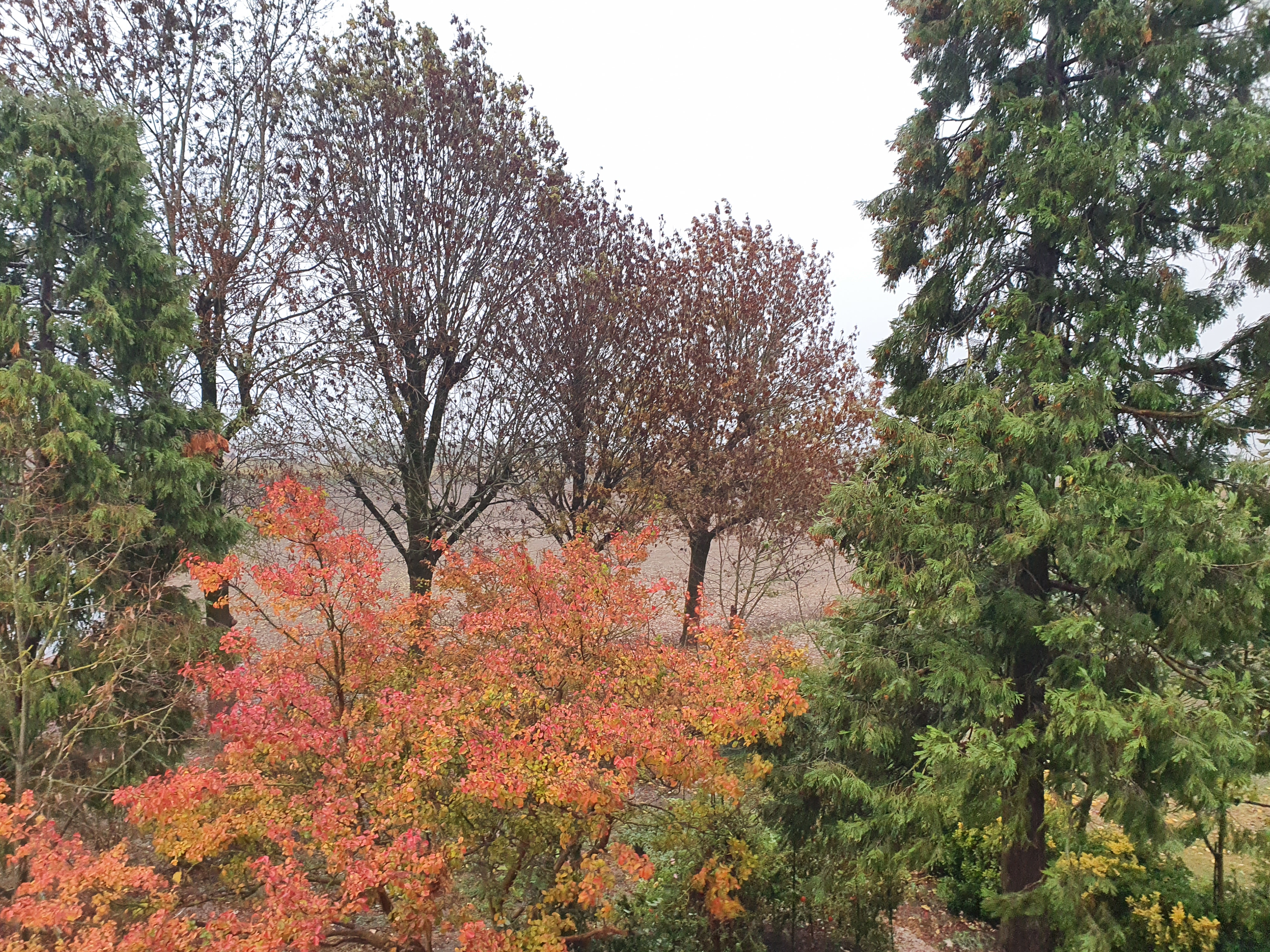 Domus Saurea november 2022- foto TT