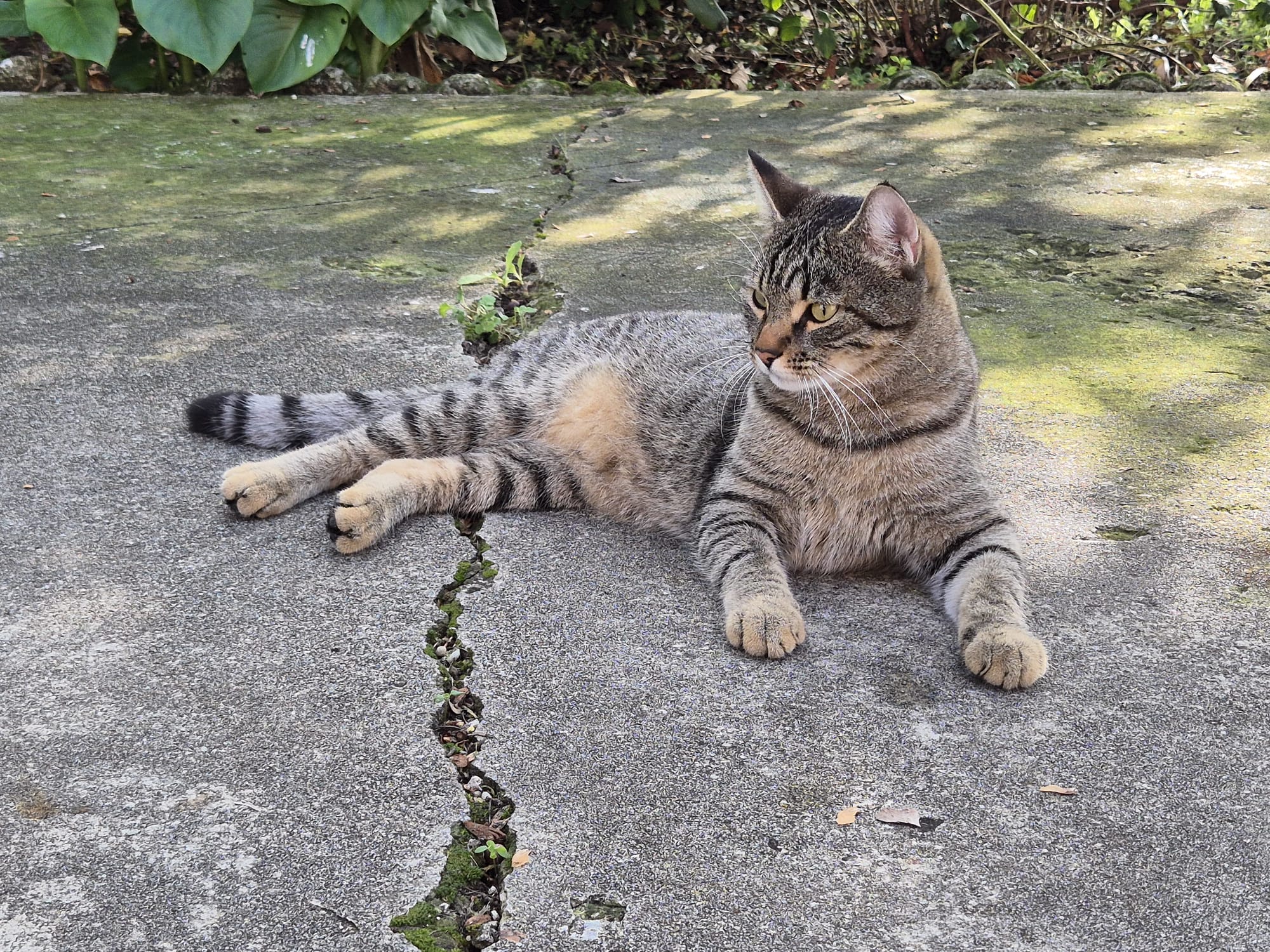 Honecker, ottobre 2024 - foto Tim Tirelli